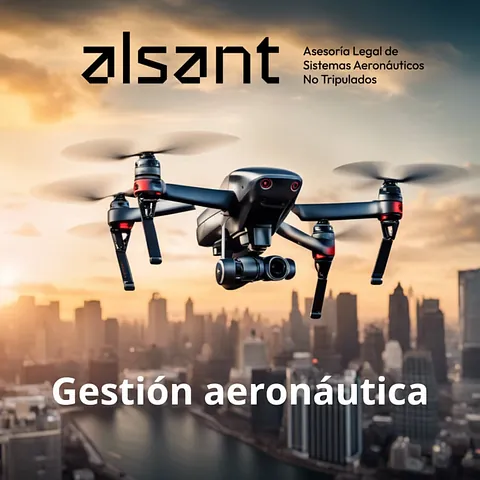 Alsant gestión aeronáutica